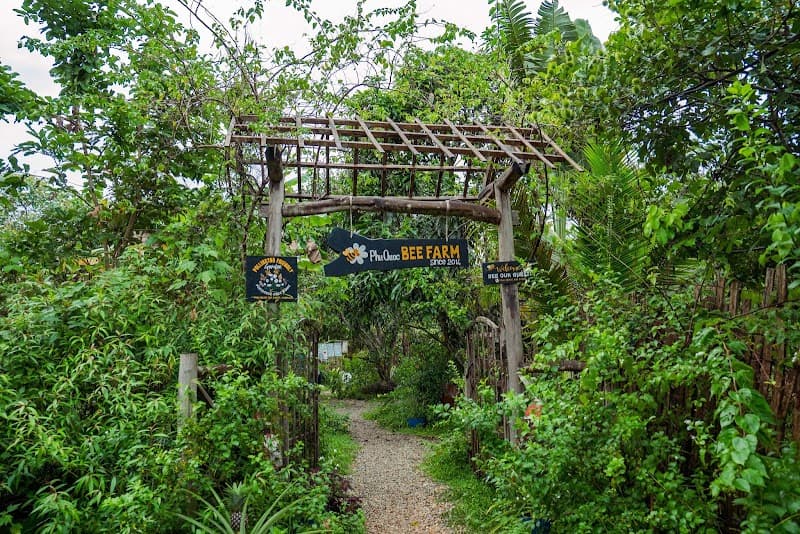 Bee Hin Huyện Phú Giáo photo