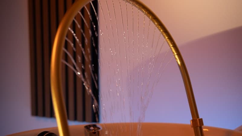 Beehappy.health.wellness Webster photo