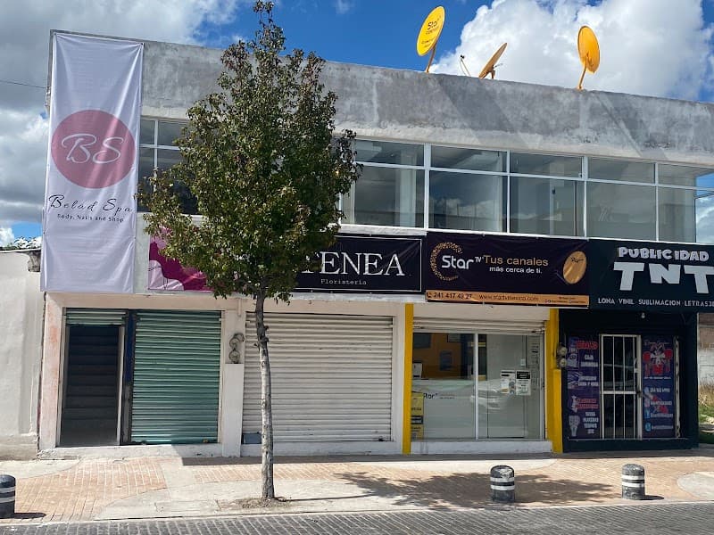 Belad Spa Apizaco photo