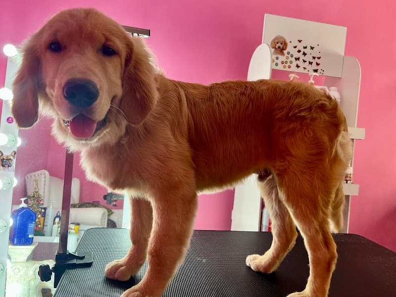 Belamar beautyspa Atlántida photo