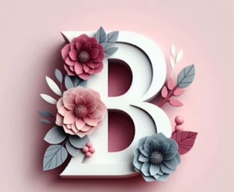 Bella Body and Skin Studio Carmel photo