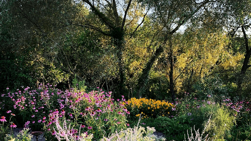 Bella Vista Massage and Spa Milroy photo