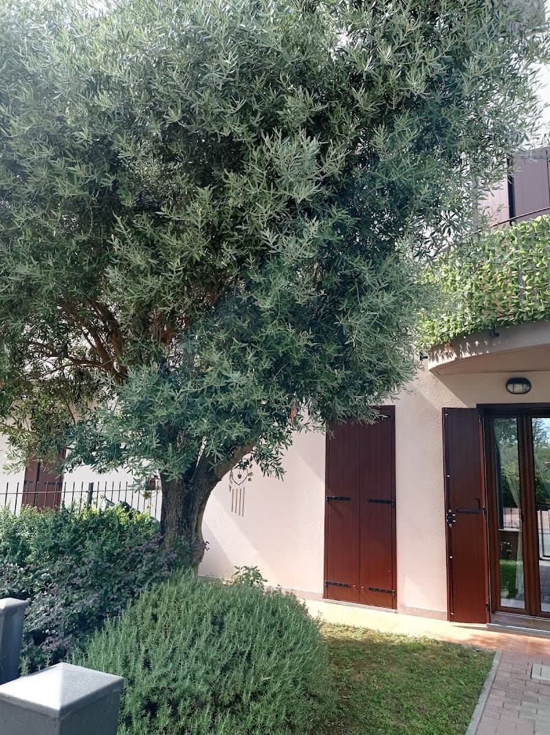 Benessere Studio Olistico Camilla Petra Marchetti Finale Emilia photo