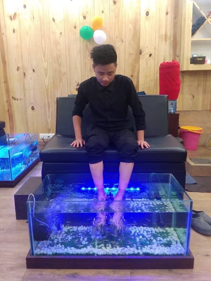 Bennis Fish Spa Barasat-I Sub-District photo