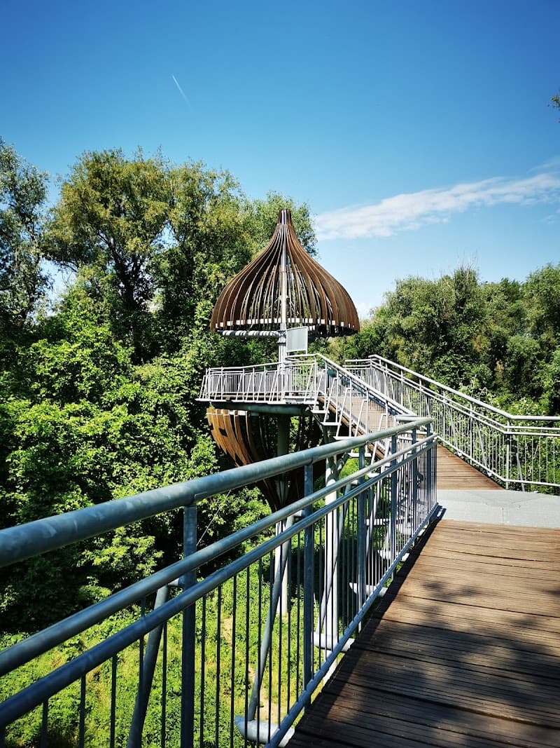 Bényei Máté gyógymasszőr Érd photo