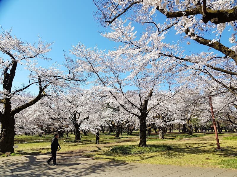 Bereza di Noche Koganei City photo