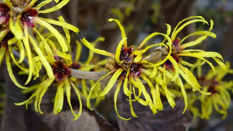 Bernadette Waser Regulative Hauttherapie und Kosmetik Zürich photo