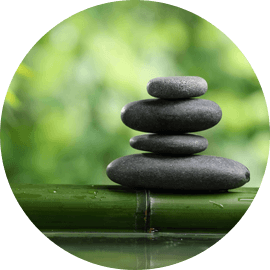 Berry Spa @ Hotel The Orchid Shimla photo