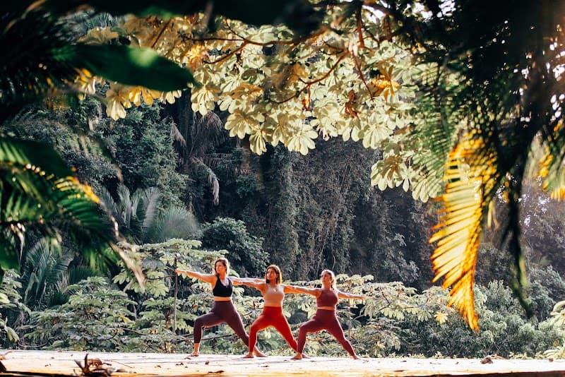 Beyond Yoga Retreat - All Inclusive Wellness Resort and Spa In Puerto Vallarta, Mexico photo