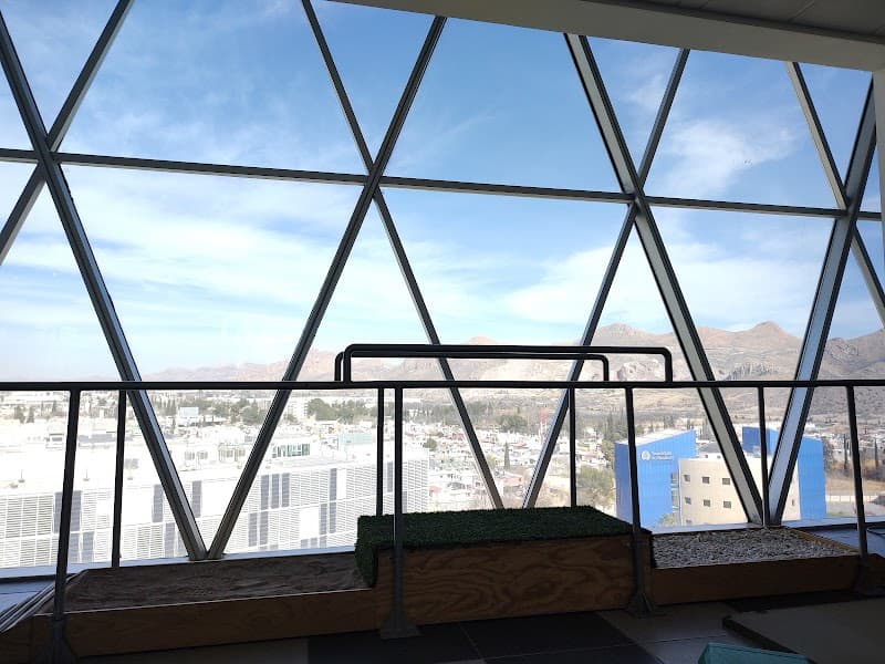 Bioconsciencia Chihuahua photo