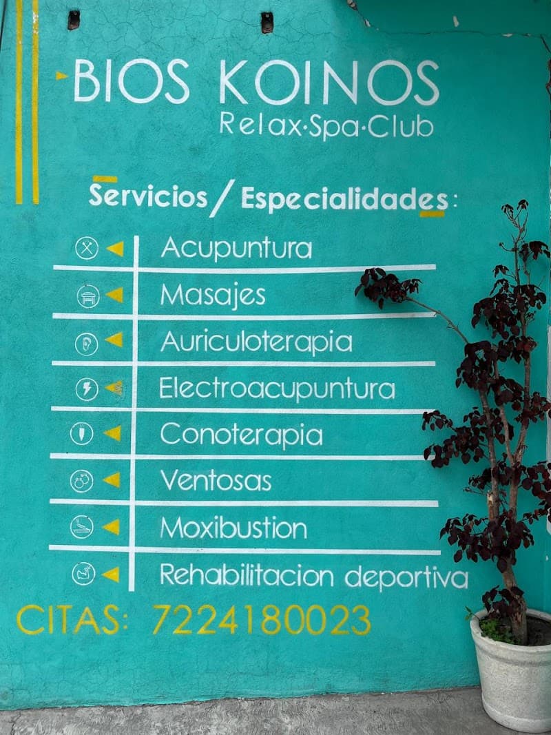 Bios Koinos Relax Spa Club | San Gaspar Tlahuililpan Metepec photo