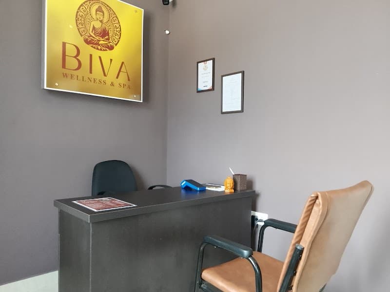 Biva Wellness Spa Kottayam photo