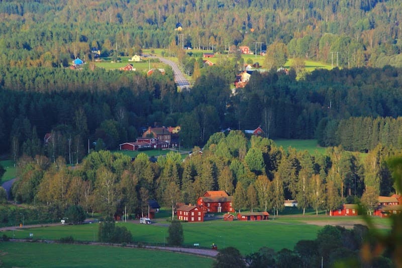 Blå Björk Samspel Ransäter photo