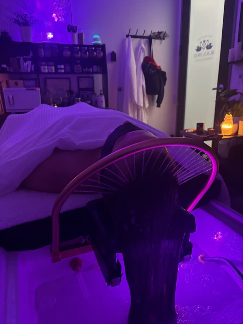 Black Swan Holistic Head Spa Indianapolis photo
