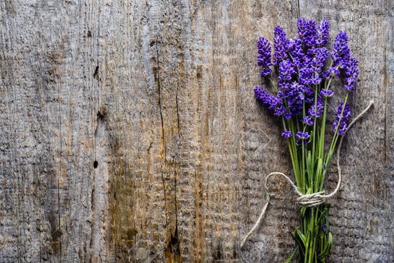 Blissful Massage & Skin Care LLC Hartford photo