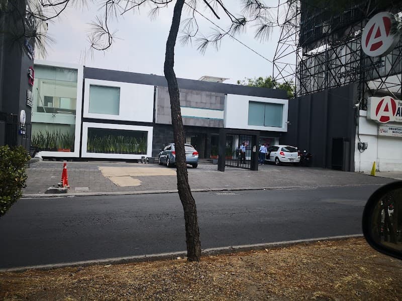 Blooma México Miguel Hidalgo photo