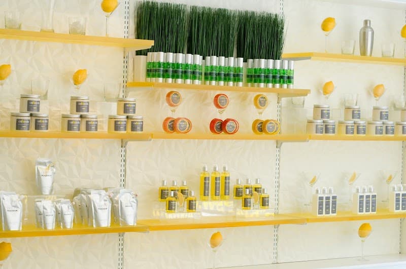 Bloor West Wax Studio Toronto photo