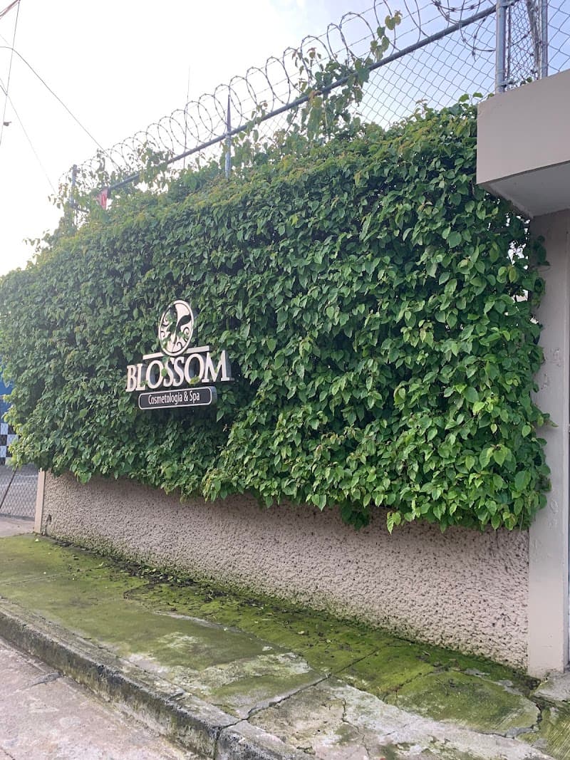Blossom Cosmetologia y Spa Uruapan photo