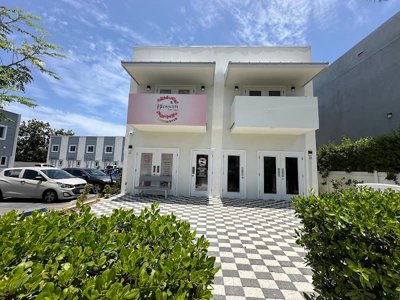 Blossom Day Spa Grand Cayman photo