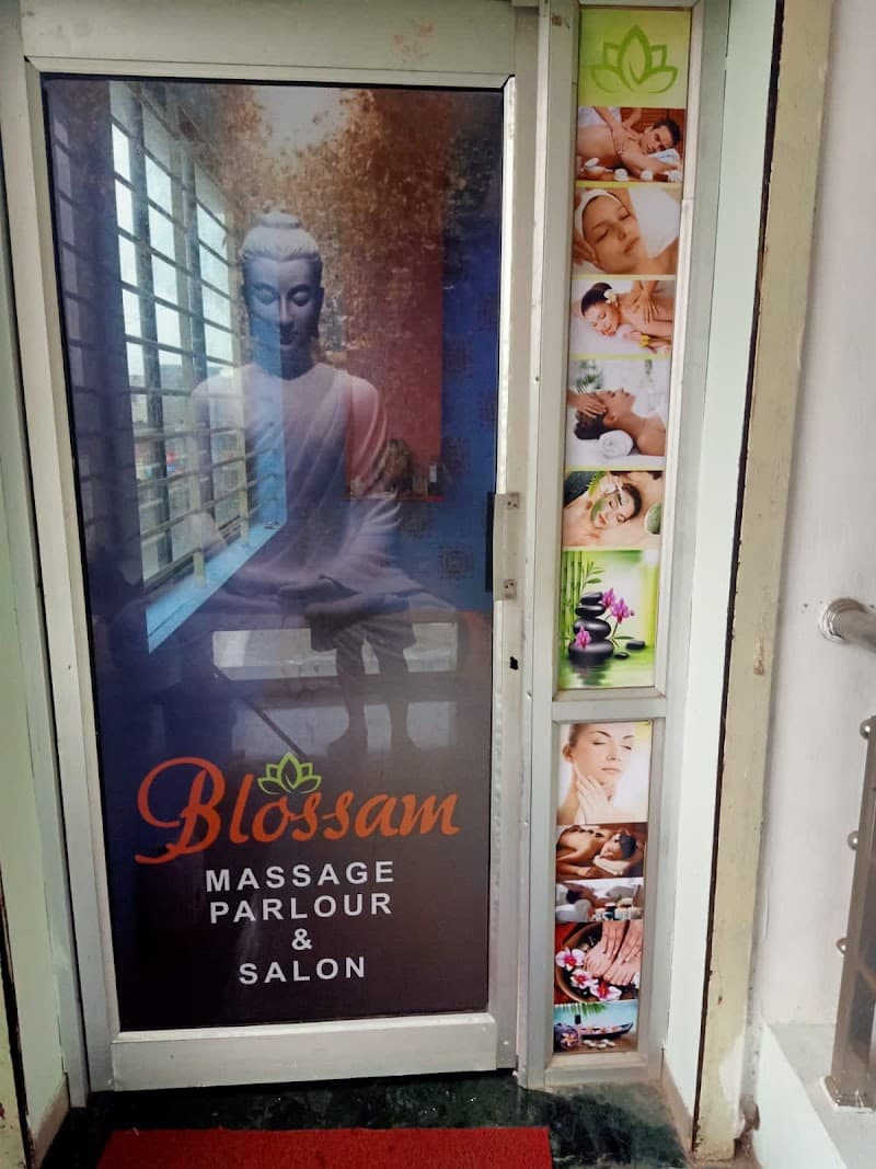 Blossom spa Godhra photo