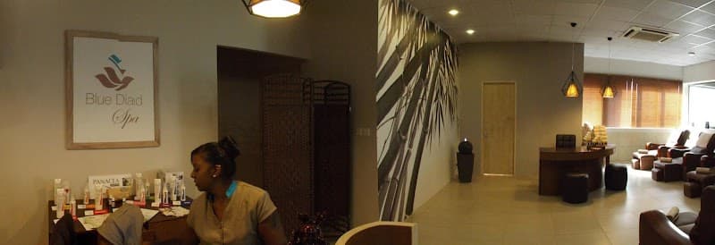 Blue Diamond Wellness Quatre Bornes Town photo