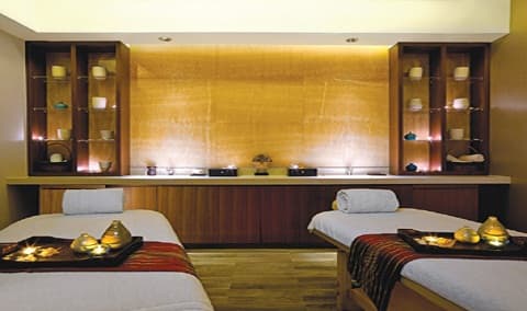 Blue Fenix Spa Jaipur photo