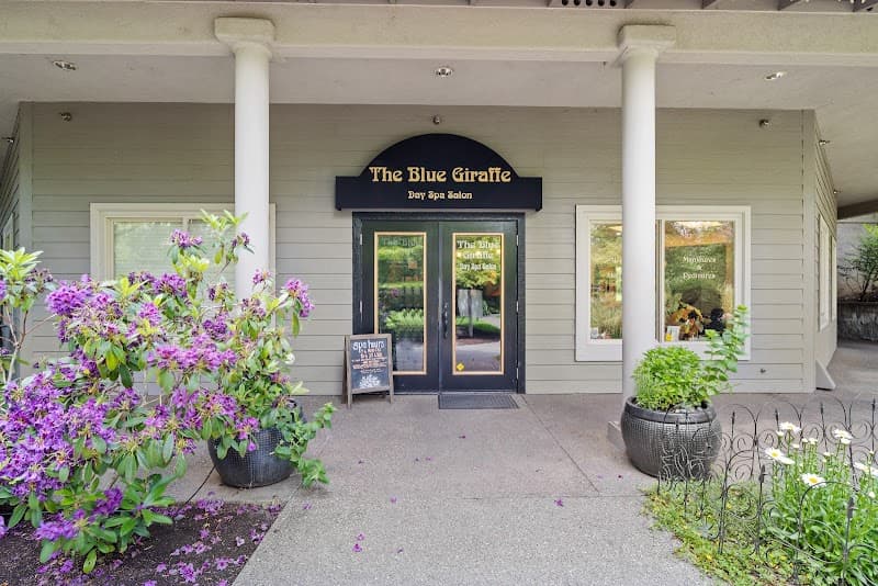Blue Giraffe Day Spa Ashland photo