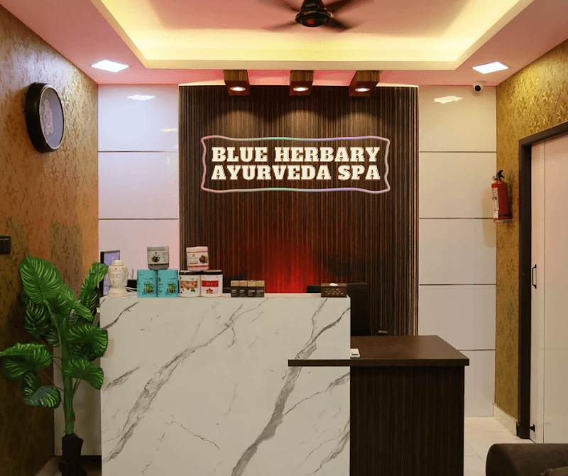 Blue Herbary Ayurvedha Chennai photo