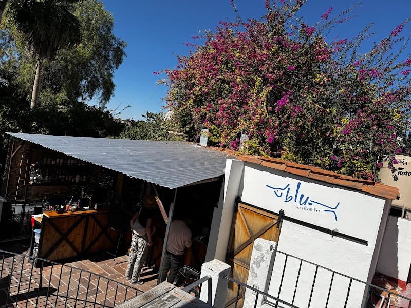 Blue Room San Miguel de Allende photo