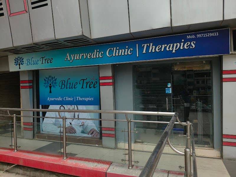 Blue Tree Spa Indirapuram Delhi photo