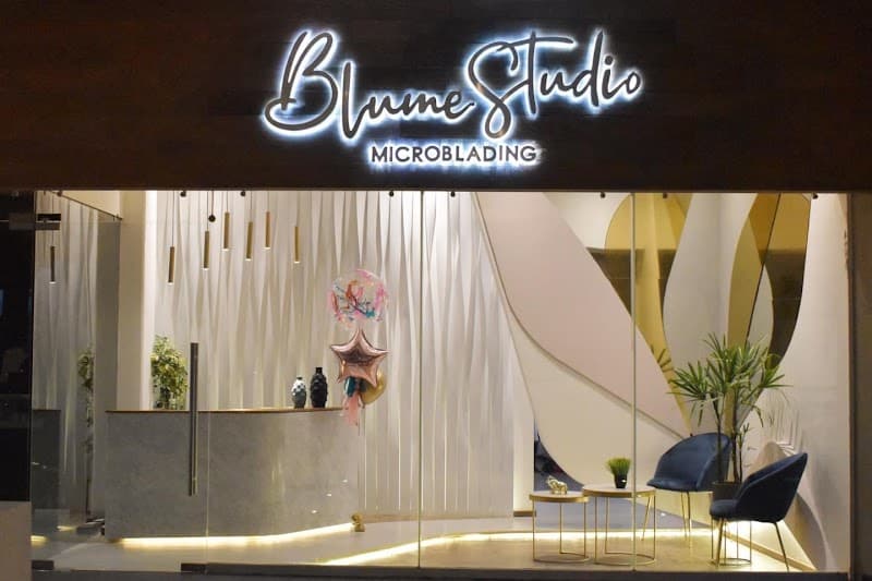 Blume Studio Chihuahua photo