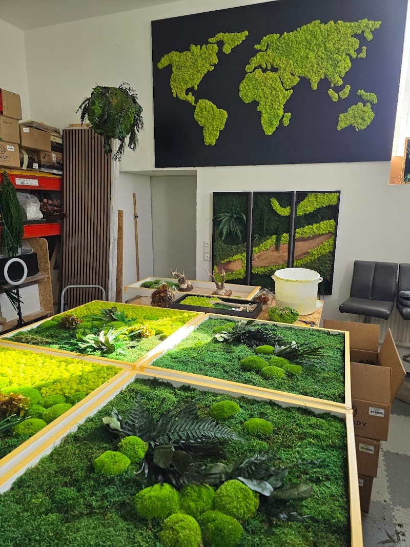 Boanawerk by Michael Maurer Pötting photo