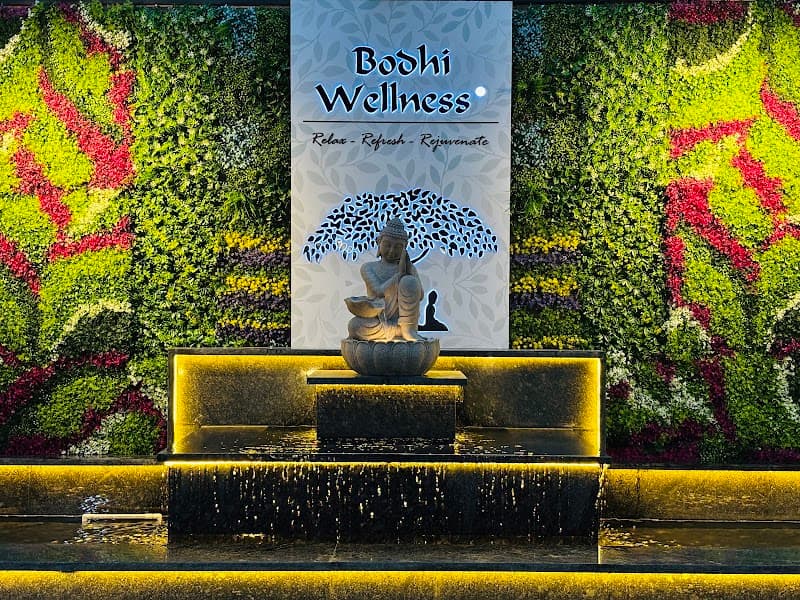 Bodhi Wellness Spa - Banjara Hills Hyderabad photo