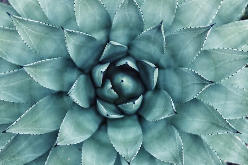 Body Essentials Holistic Spa Lake Havasu City photo