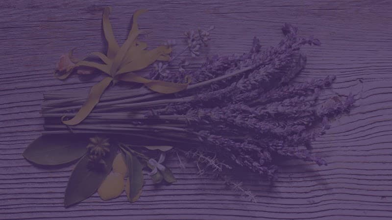 Body Health Liuteranska St photo