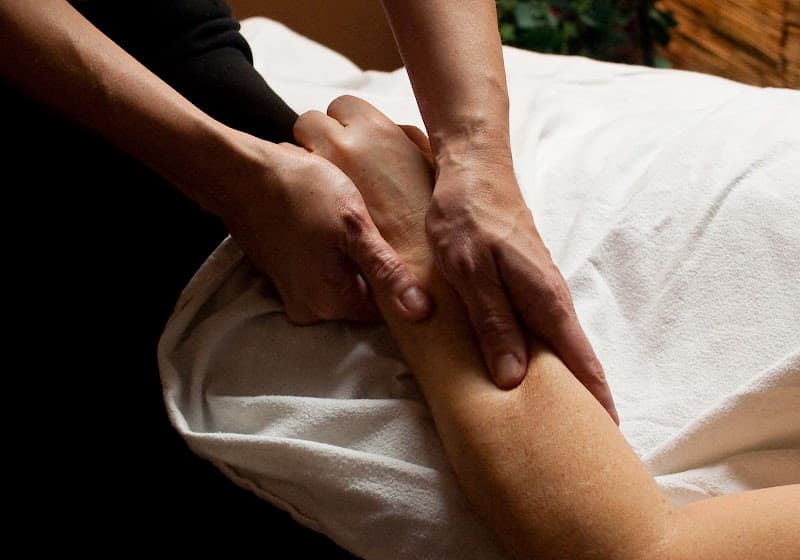 Body Insight Wellbeing Catalyst Wimberley photo