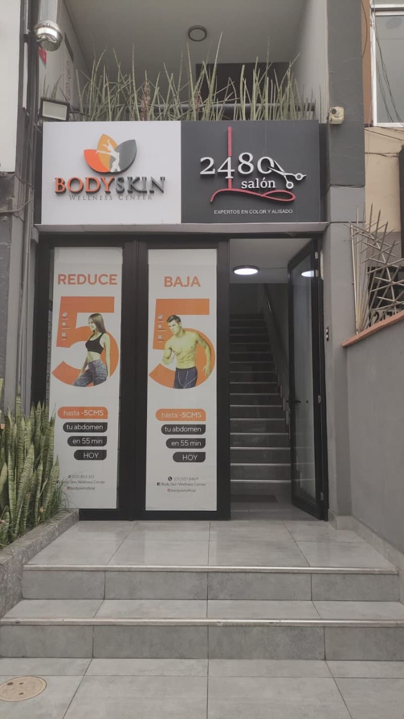 Body Skin San Borja photo