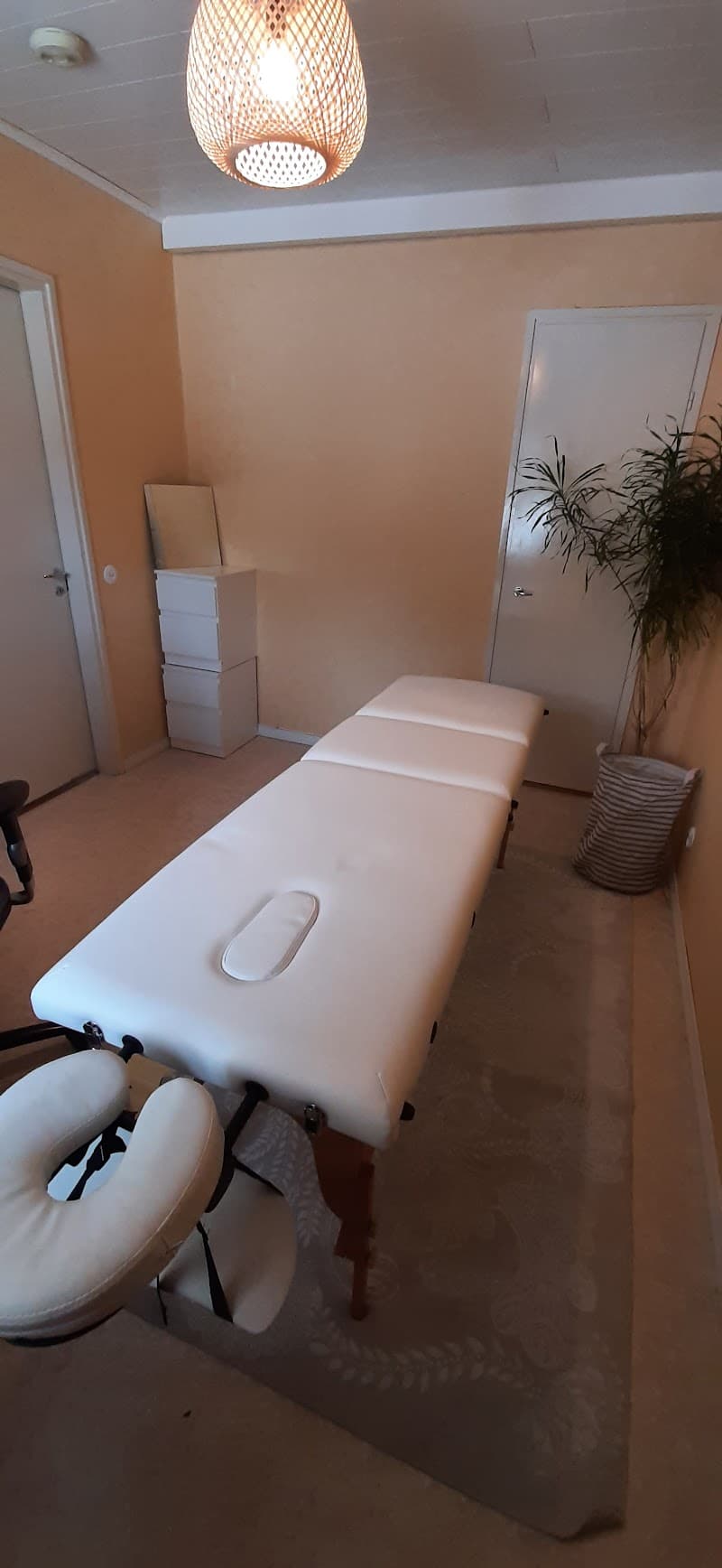 Body Systems PT & Massage Jakobstad photo