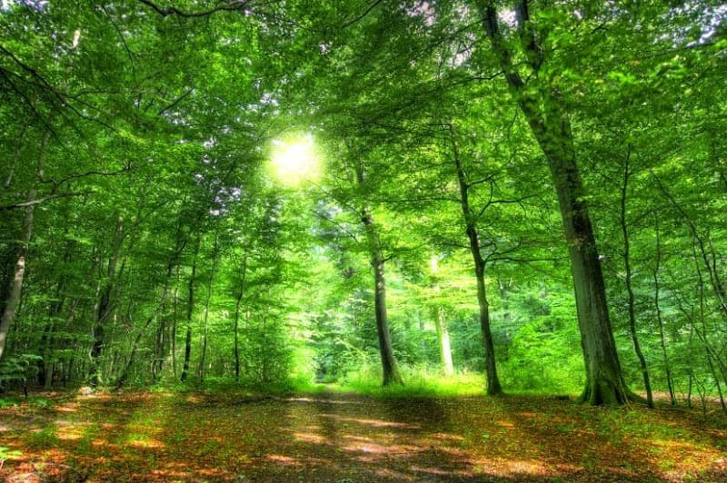 Body to Balance Massage Therapy Brisbane photo