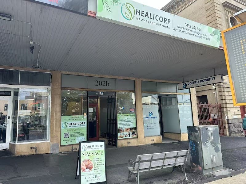 BodyMend Ballarat photo
