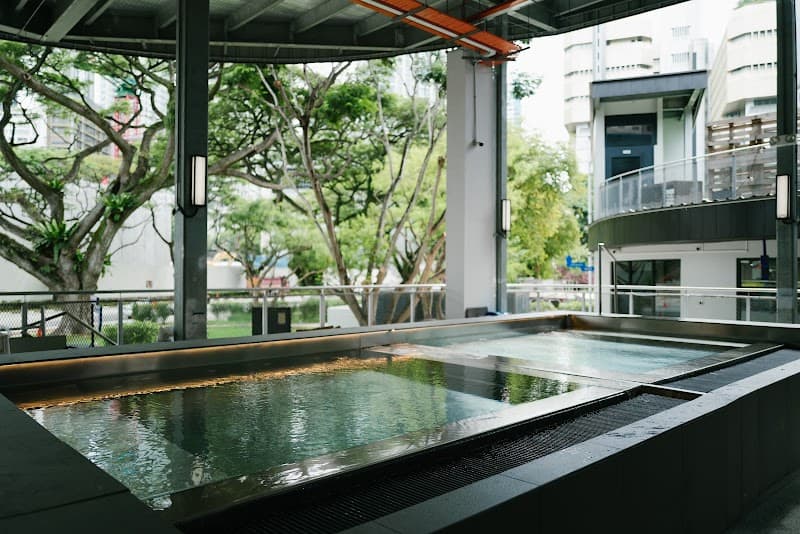 Bodyreveso Singapore photo