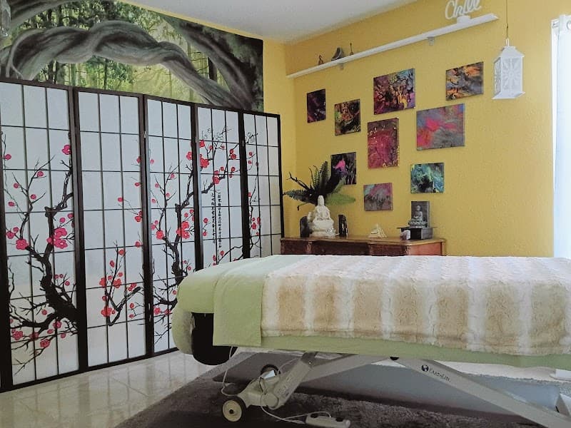 Bodyworx Massage & Wellness Port Charlotte photo