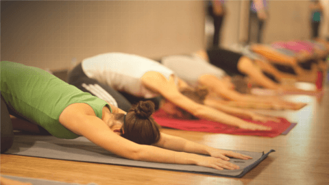 Boldon Fitness Boldon Colliery photo