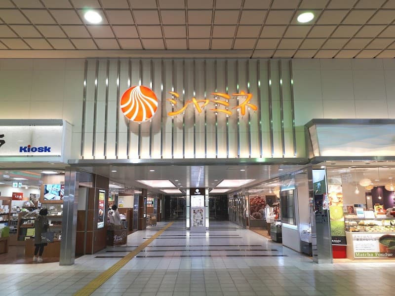 Bon voyage Tottori City photo