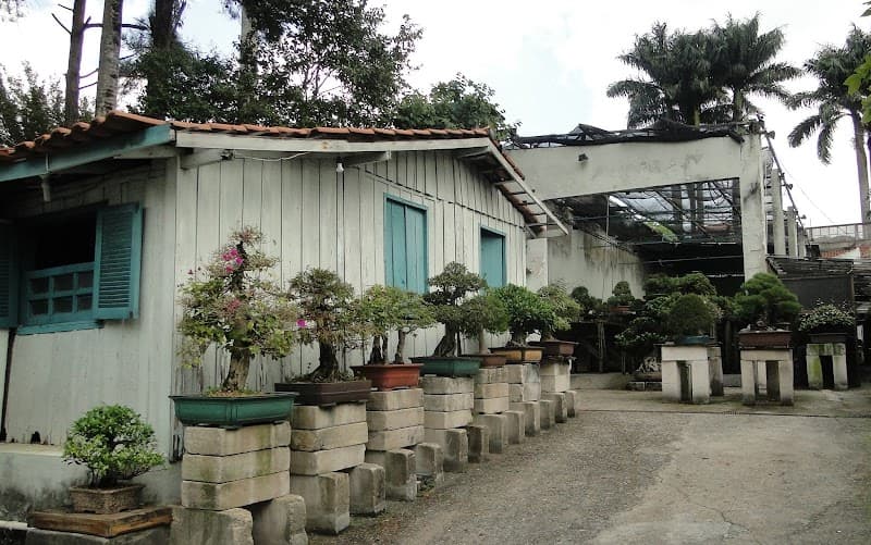 Bonsai-do São Paulo photo