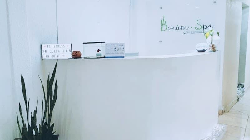 Bonum Spa Cuautitlán photo