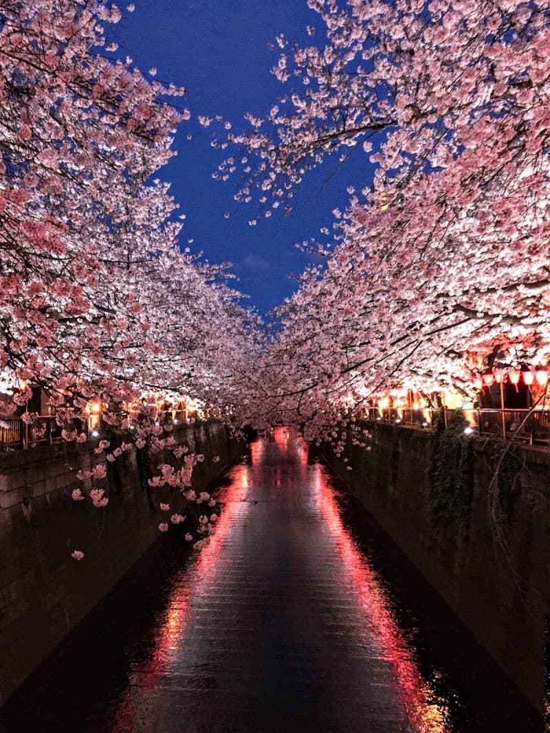 Border Meguro Ward photo
