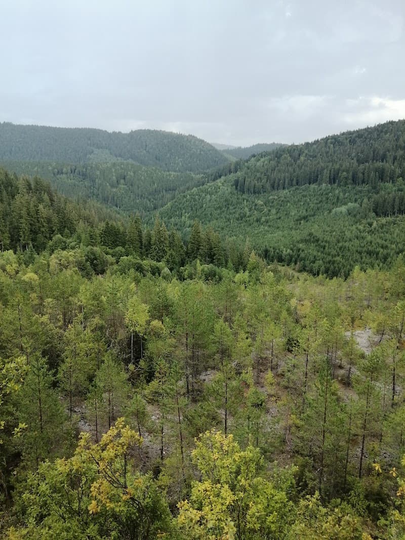Borszéki Ó-sáros Borsec photo