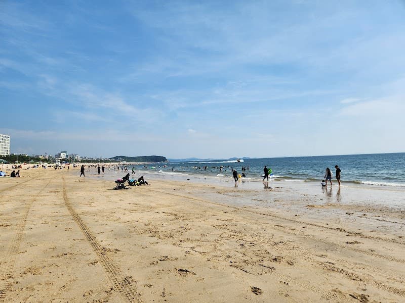 Boryeong Mud Experience Center Boryeong City photo