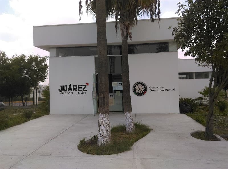 Bos de Mujer Benito Juárez photo